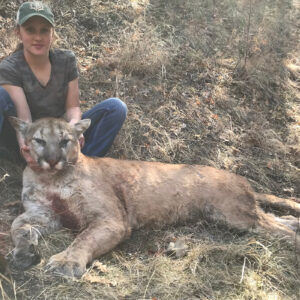New Mexico Mountain Lion Hunting