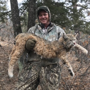 Bobcat hunting in New Mexico