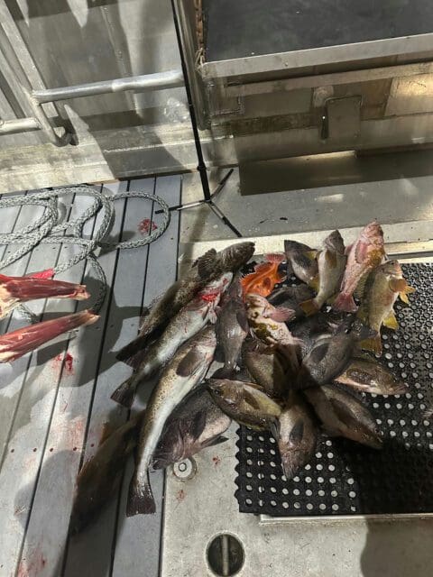 The fishing was great