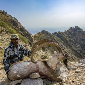 Pakistan Sindh Ibex Hunting ARQ8Pakistan Sindh Ibex Hunting » Outdoors International Pakistan Sindh Ibex Hunting