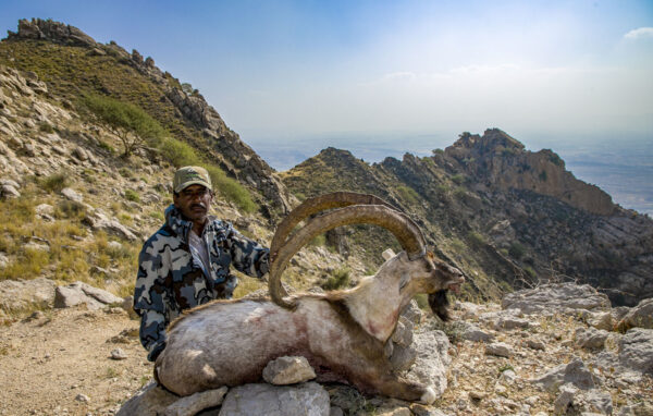 Pakistan Sindh Ibex Hunting ARQ8Pakistan Sindh Ibex Hunting » Outdoors International Pakistan Sindh Ibex Hunting