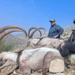 Pakistan Sindh Ibex Hunting
