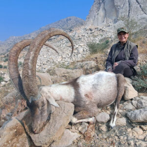 Sindh Ibex Hunt in Pakistan