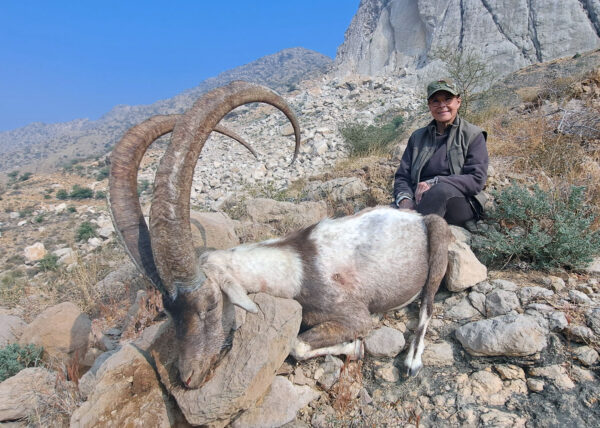 Sindh Ibex Hunt in Pakistan