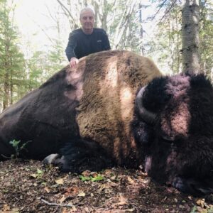 Quebec Bison Hunting Estate