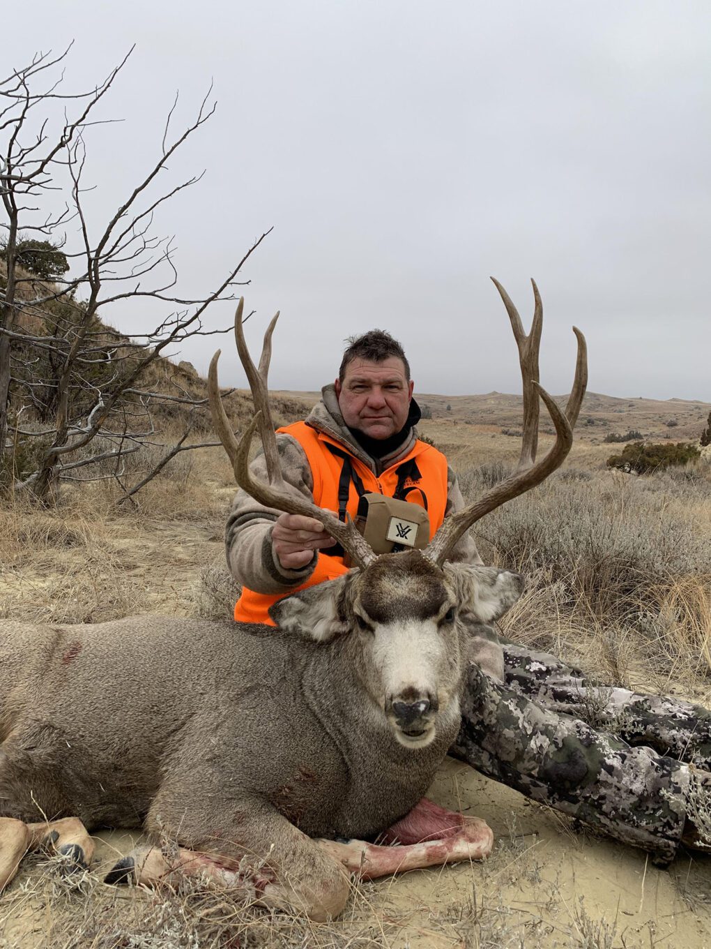 Montana mule deer hunting