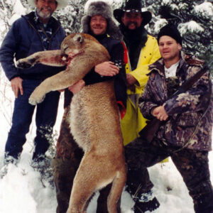 Utah Mountain Lion Hunting