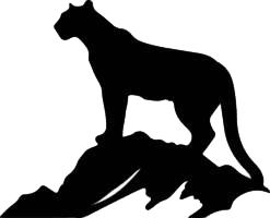 Mountain Lion Hunts » Outdoors International Mountain Lion Hunts