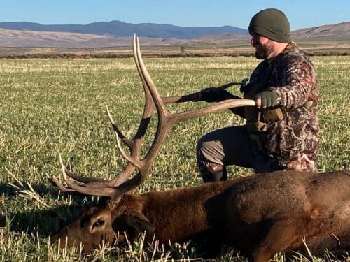 Andy Phillips OI Client Montana Archery Elk Hunt 2024 MBA » Outdoors International Andy admiring his bull.