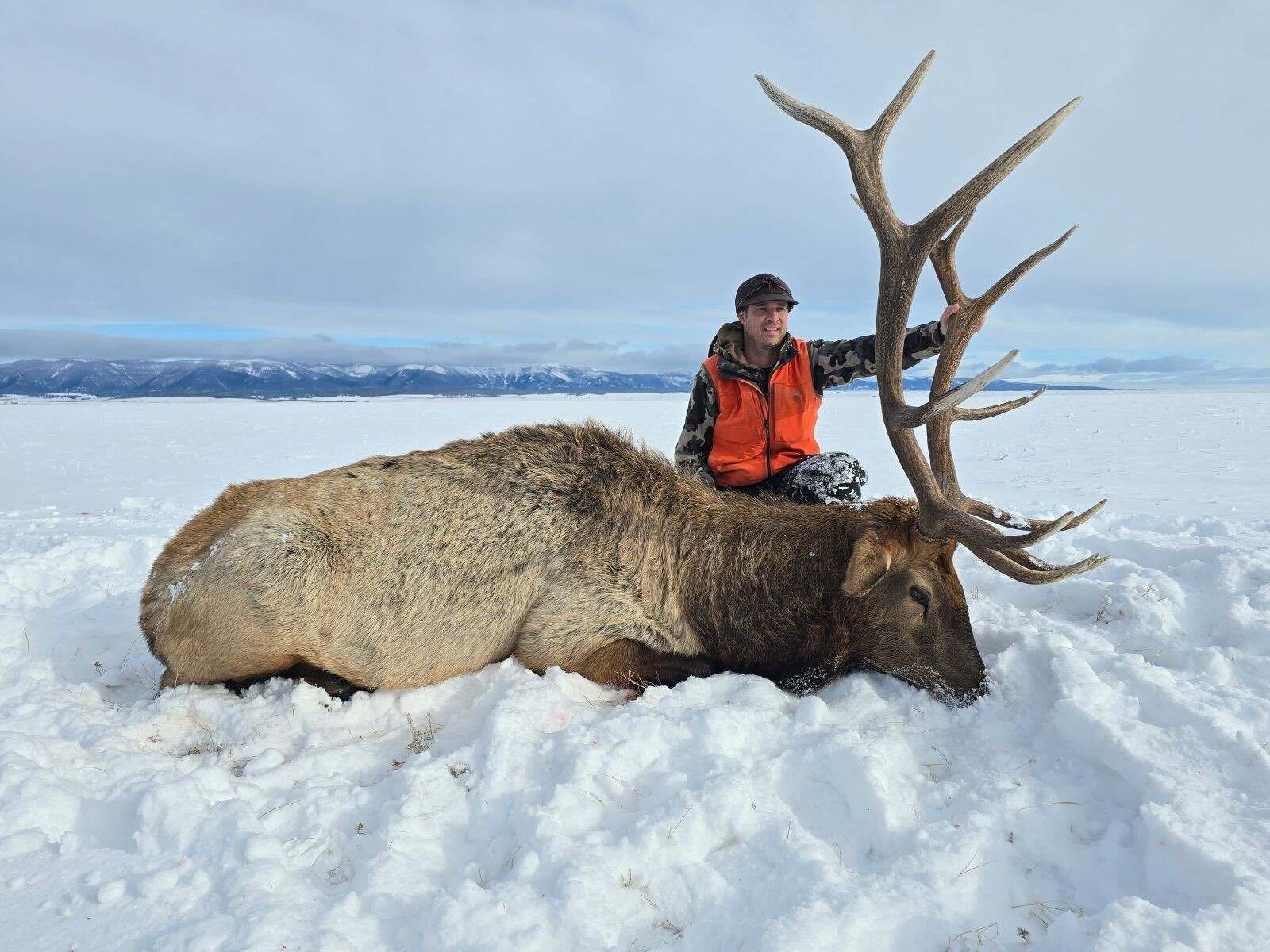 Nick Johnston Montana Elk 2024 » Outdoors International Nick with his late season Montana bull.