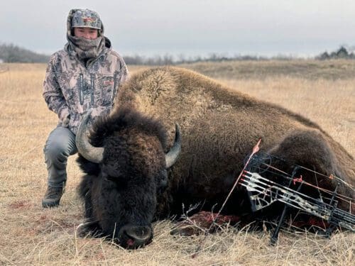 Leo Roysdon Client Archery South Dakota Bison 2025 NPO » Outdoors International Leo with a good archery bison.