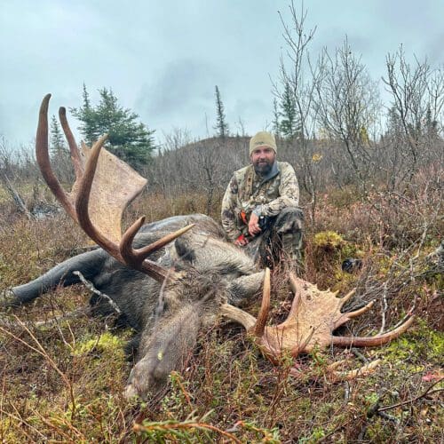 Adam Beaupre Client Alaska Moose SLO 2024 IMG_1445 » Outdoors International Adam Beaupre with his great moose