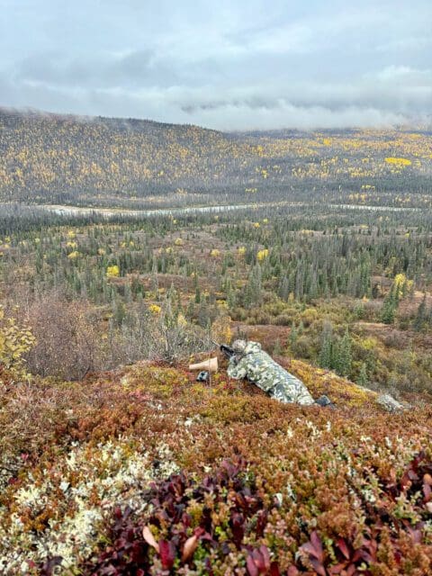 Adam Beaupre Client Alaska Moose SLO 2024 IMG_9751 » Outdoors International Glassing for moose