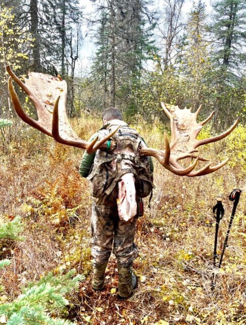 Adam Beaupre Client Alaska Moose SLO 2024 IMG_9866 » Outdoors International Packing out a moose