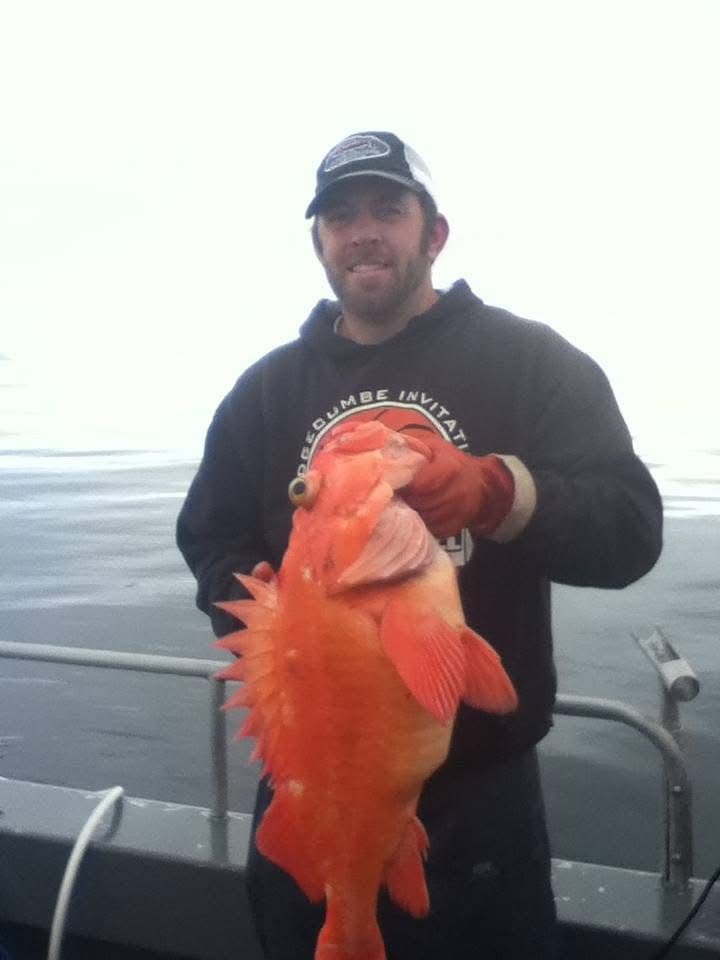 Catch rockfish on these Alaska fishing charters