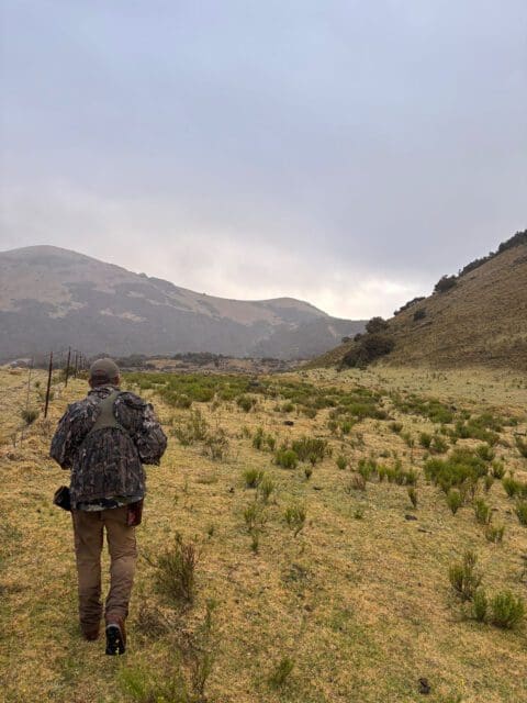 Turkey hunting in Hawaii on the Big Island