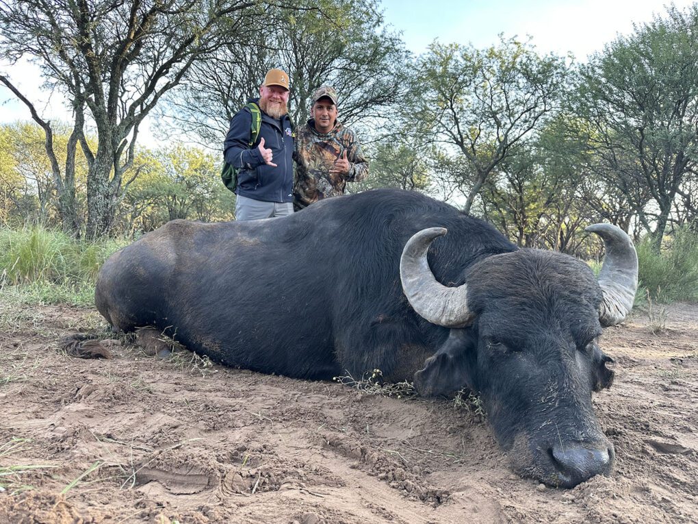Argentina TGB 2025 Branden Smalley Client Water Buffalo » Outdoors International Branden's giant Argentina water buffalo
