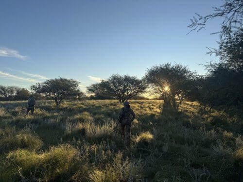 Hunting for stags in La Pampa, Argentina