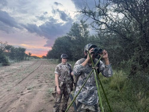 Glassing for stags in Argentina