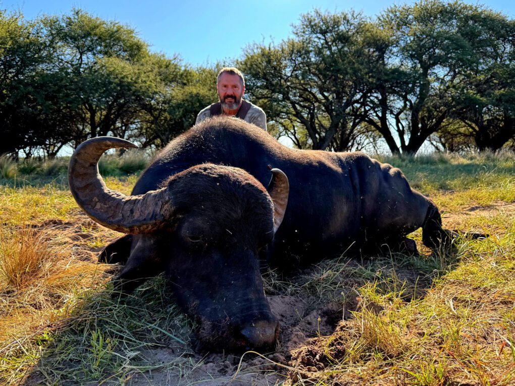 Scott's huge Argentina water buffalo