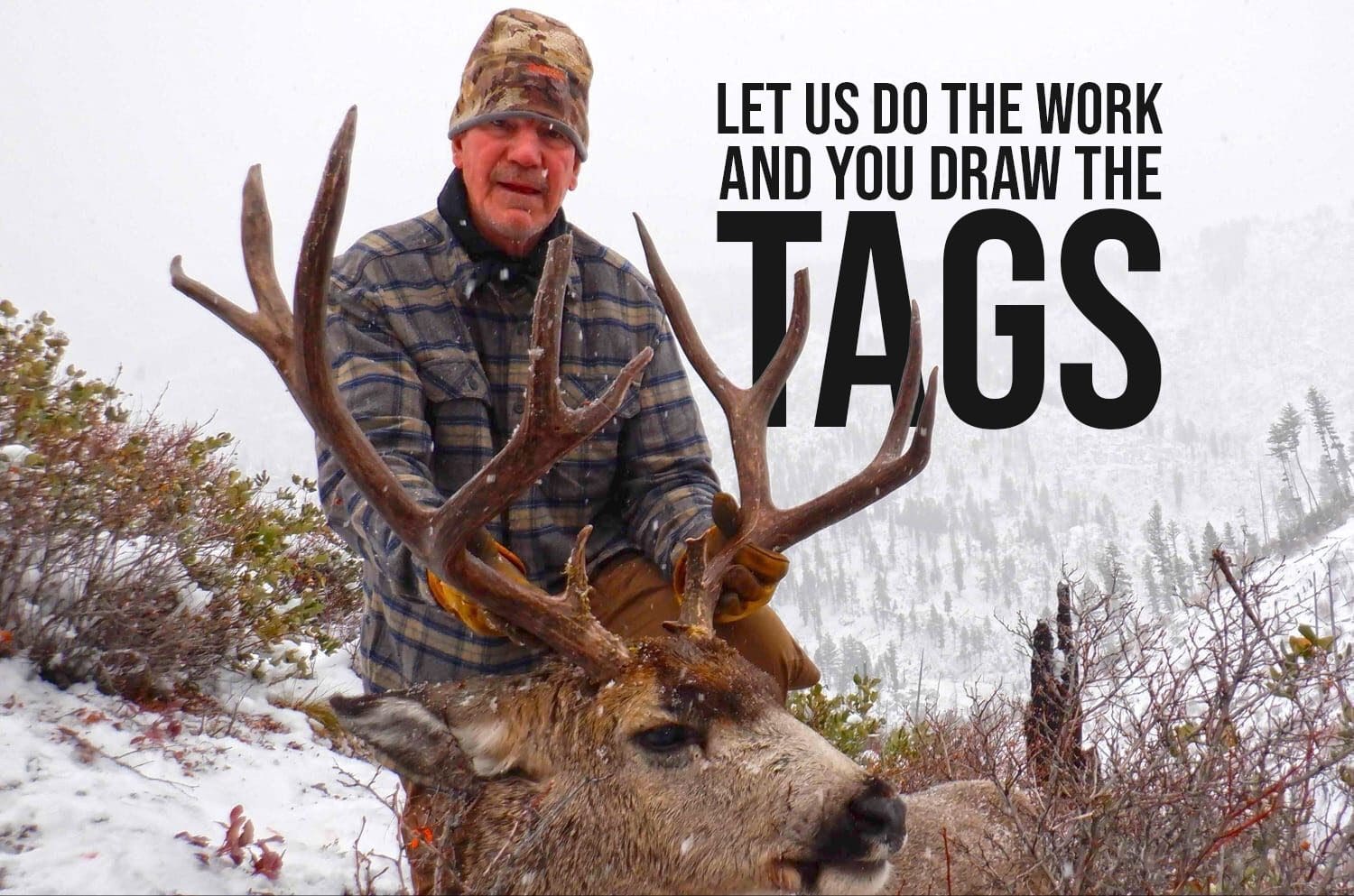 OI Hunt Application Service Mule Deer » Outdoors International Hunter with mule deer tag he drew with the OI hunt application service.