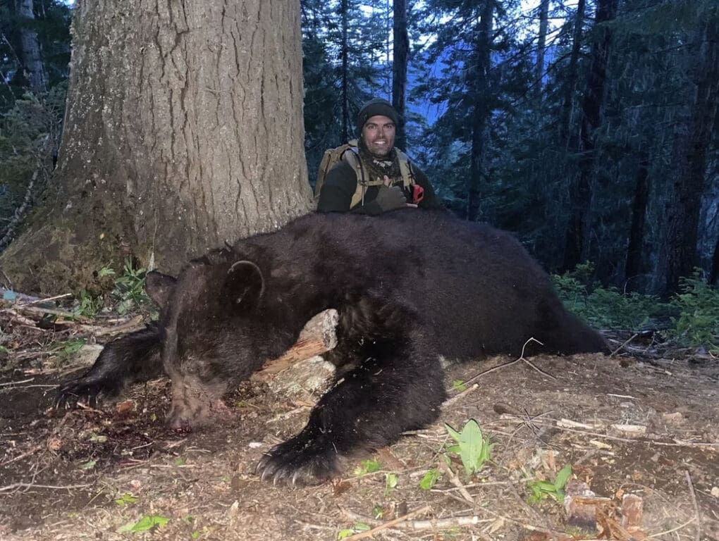 Arizona black bear hunts