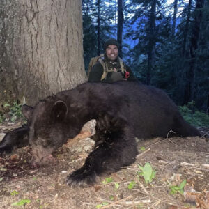 Arizona black bear hunts » Outdoors International Arizona black bear hunts