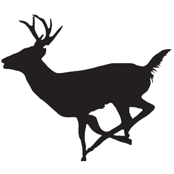 Coues Whitetail Deer Icon » Outdoors International