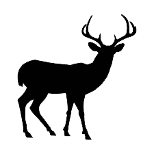 Whitetail Deer Icon » Outdoors International