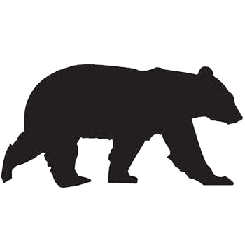 Black bear hunting trips