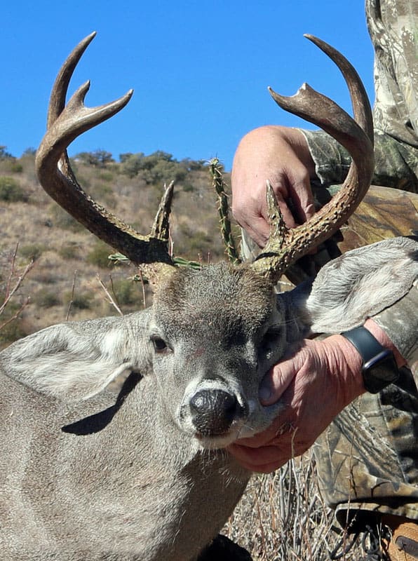 Arizona Coues Deer Hunts