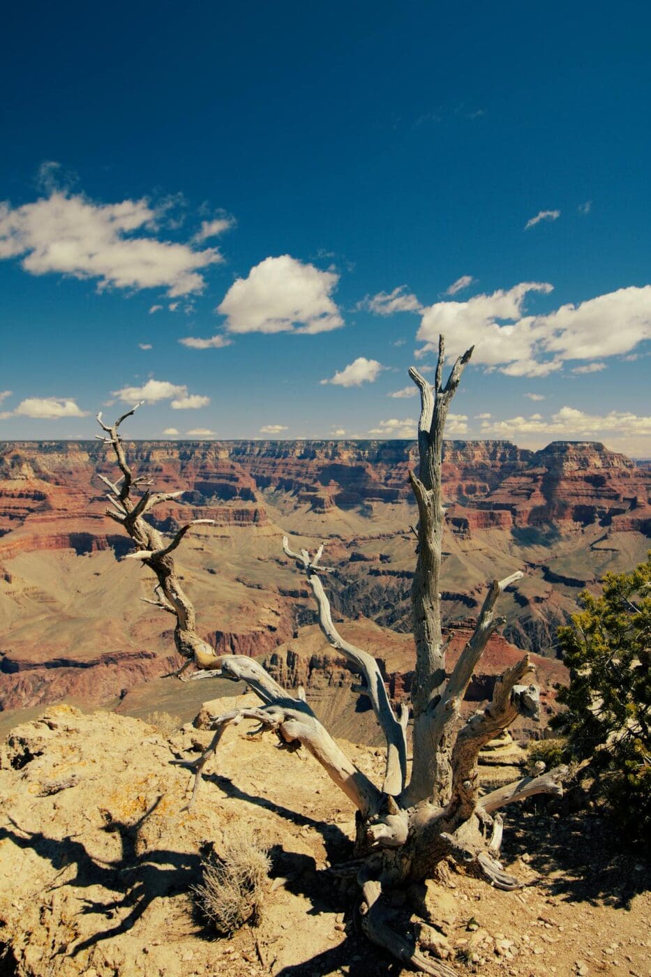 Arizona Scenery