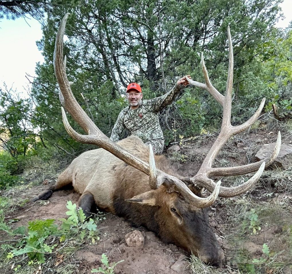 A giant bull elk guided by Mossback