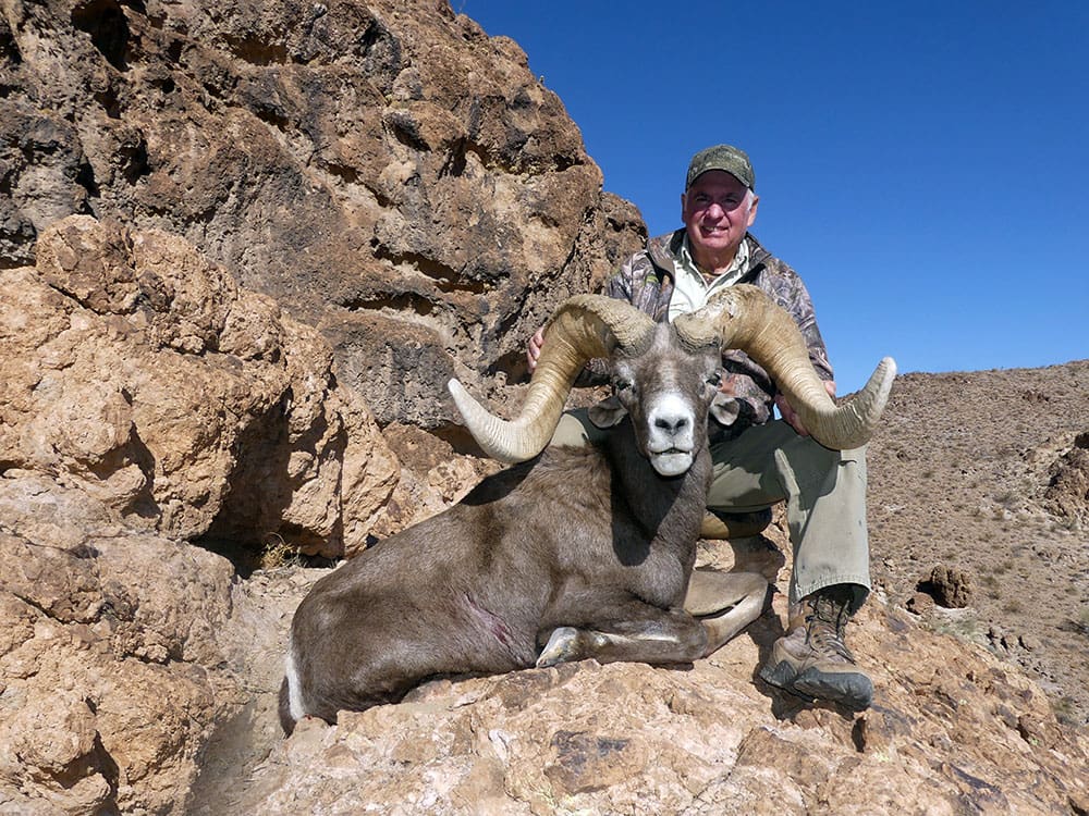 You should choose Outdoors International to help you book your Arizona sheep hunt.