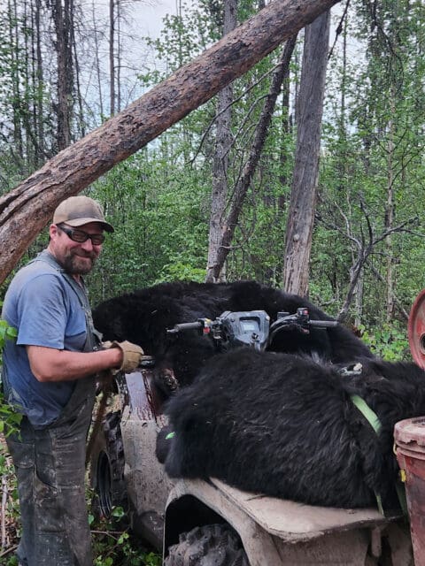 Loading a bear on a four wheeler » Outdoors International