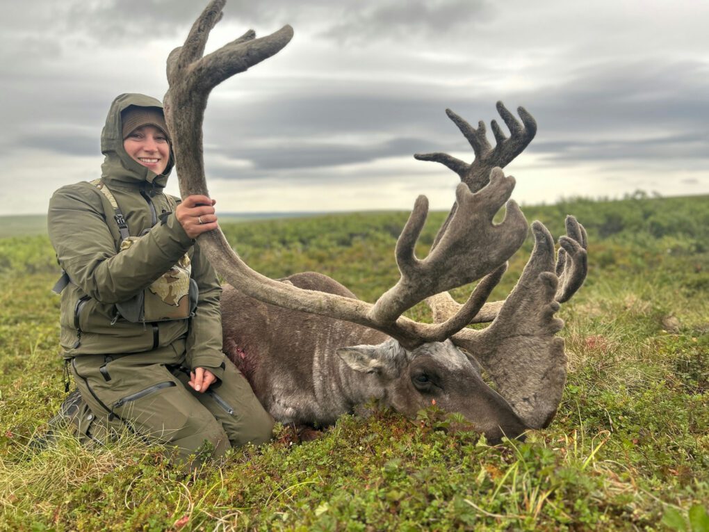 Preston Briggs Group KH756 Client Alaska Guided Caribou Hunt » Outdoors International Great fronts on this caribou bull.