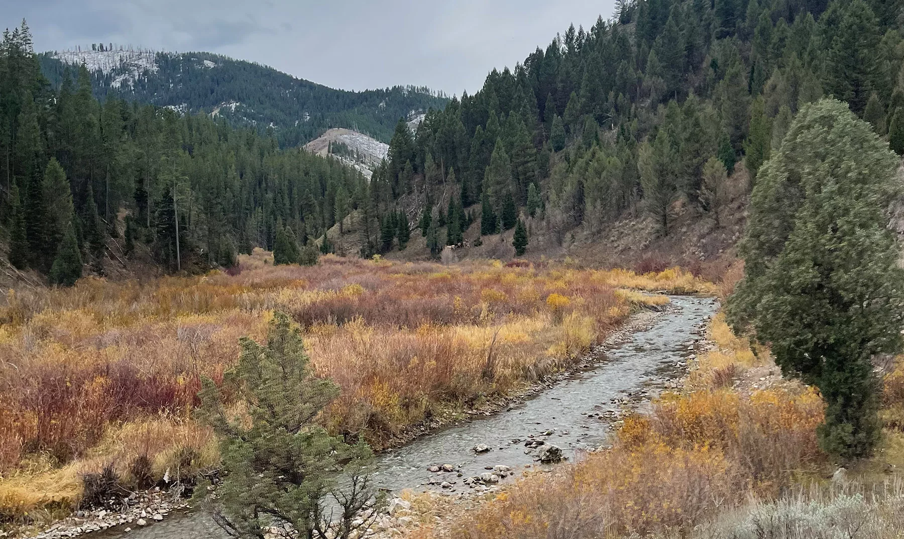 The Caribou Targhee National Forest in Idaho