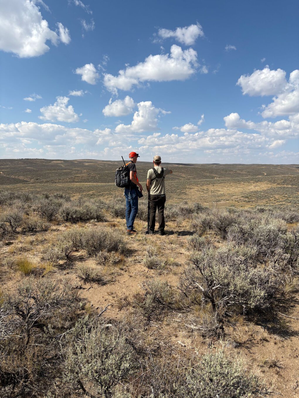 Antelope hunting in Colorado