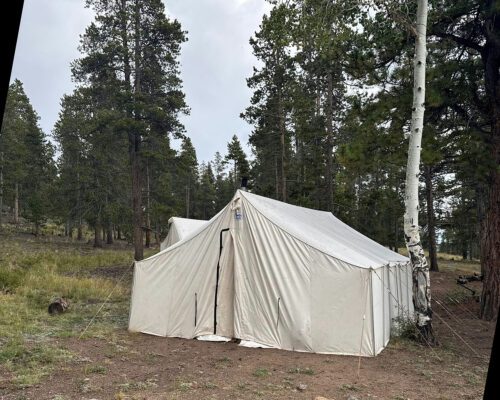 Elk Camp
