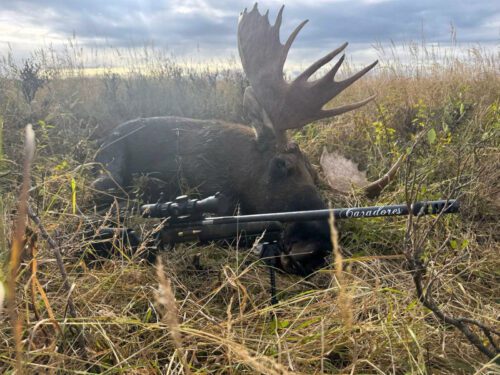 Josh Tempco Client Alaska DIY Moose RAA 2025 » Outdoors International Josh Tempcos Alaska DIY Moose