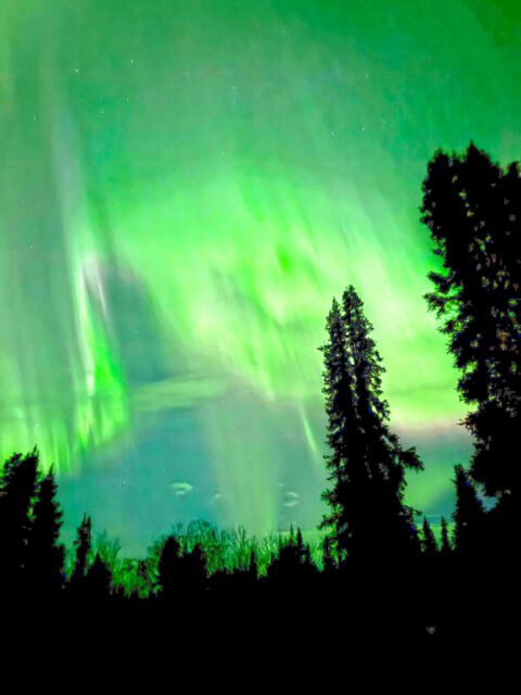 The Northern Lights
