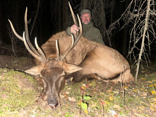 Steven with a great Alberta bull