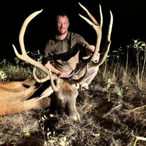 68kg Free Range Stag