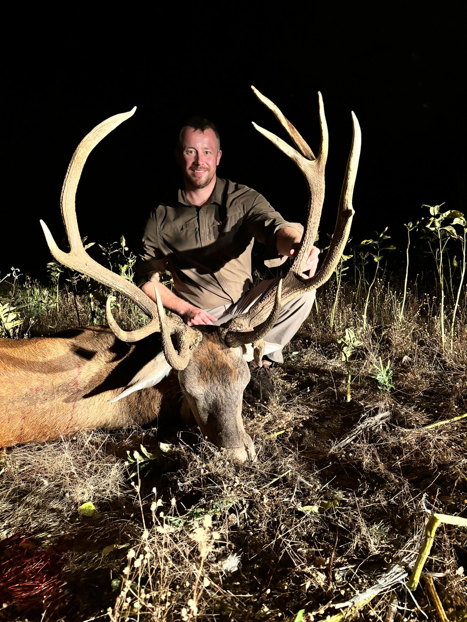 68kg Free Range Stag » Outdoors International 68kg Free Range Stag