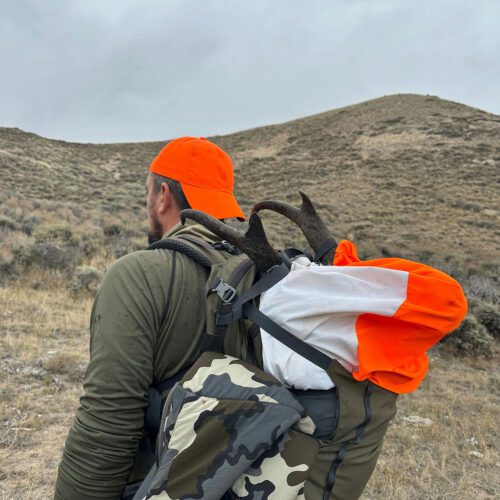 Packing out an antelope.