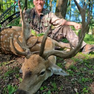 Archery fallow deer hunting in Hungary