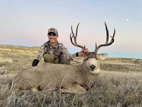 Marcello's nice mule deer buck.