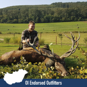 OI Endorsed Red Stag Hunting in Hungary » Outdoors International OI Endorsed Red Stag Hunting in Hungary