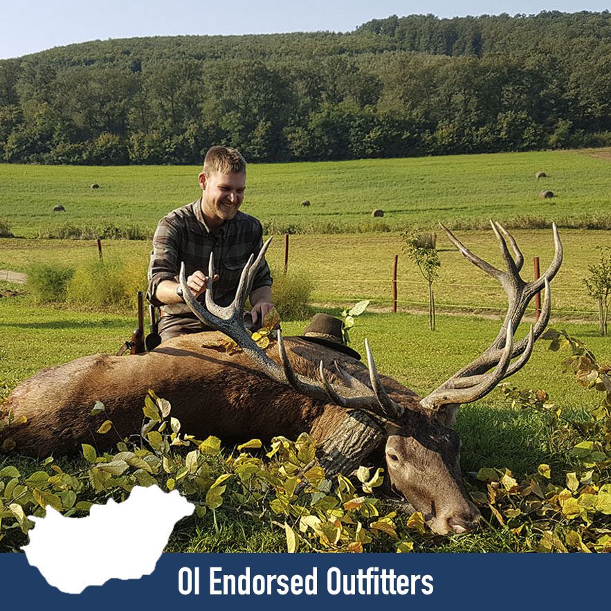 OI Endorsed Red Stag Hunting in Hungary » Outdoors International OI Endorsed Red Stag Hunting in Hungary