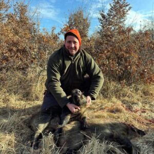 driven wild boar hunting Hungary